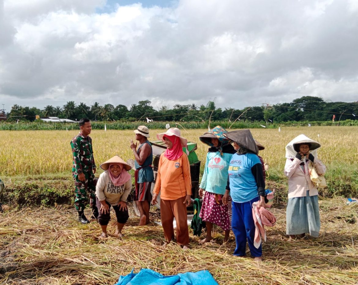 Petani Sawah